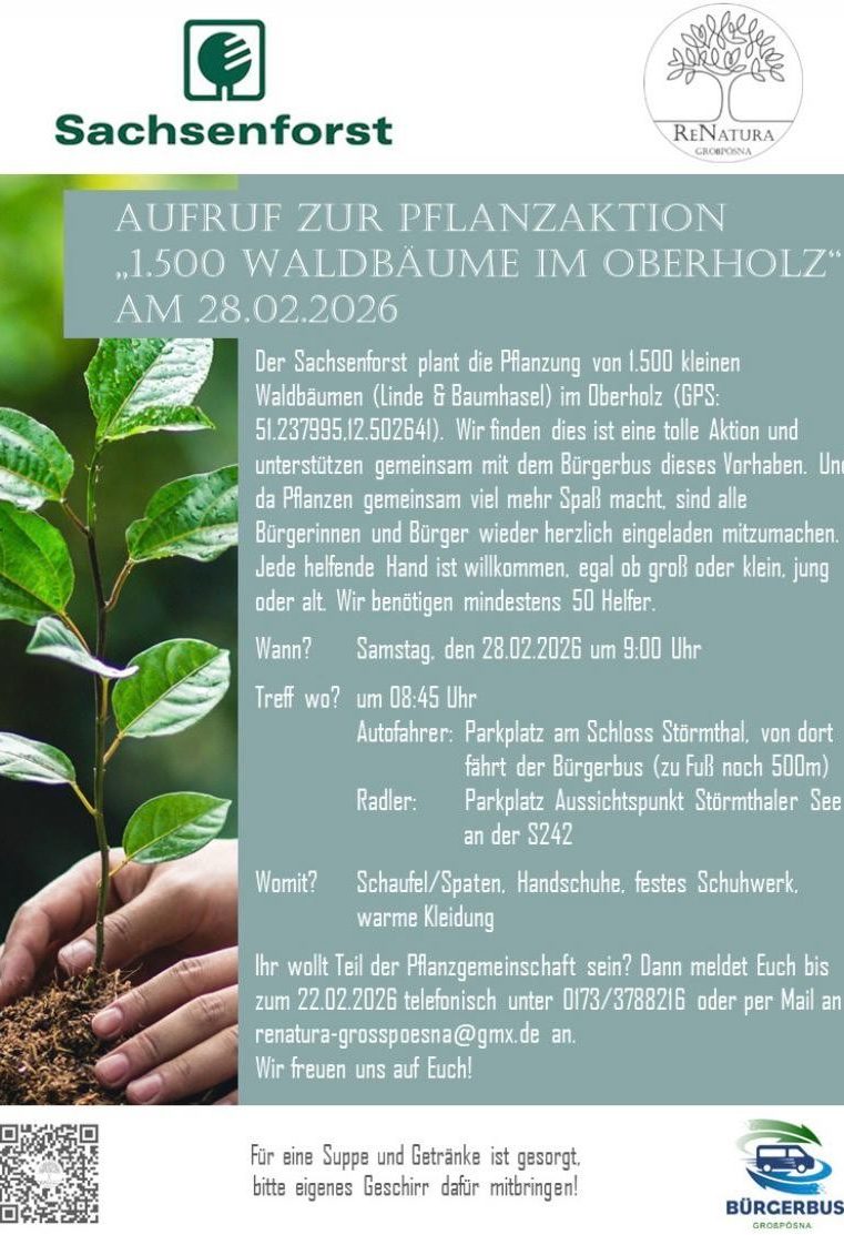 Renatura & Sachsenforst laden zur Pflanzaktion ins Oberholz